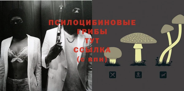 мескалин Переславль-Залесский